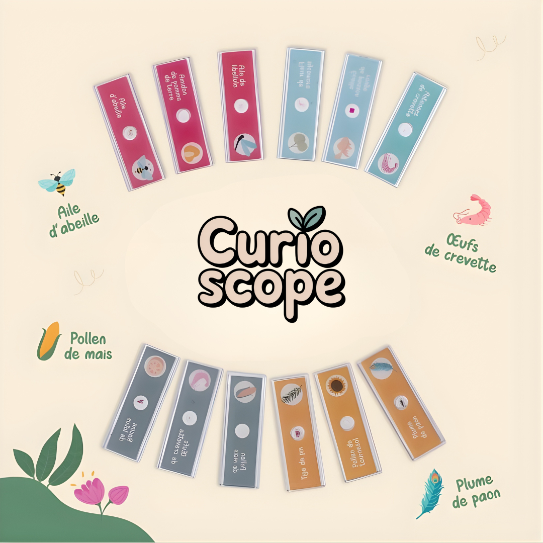 Lamelles d'Exploration