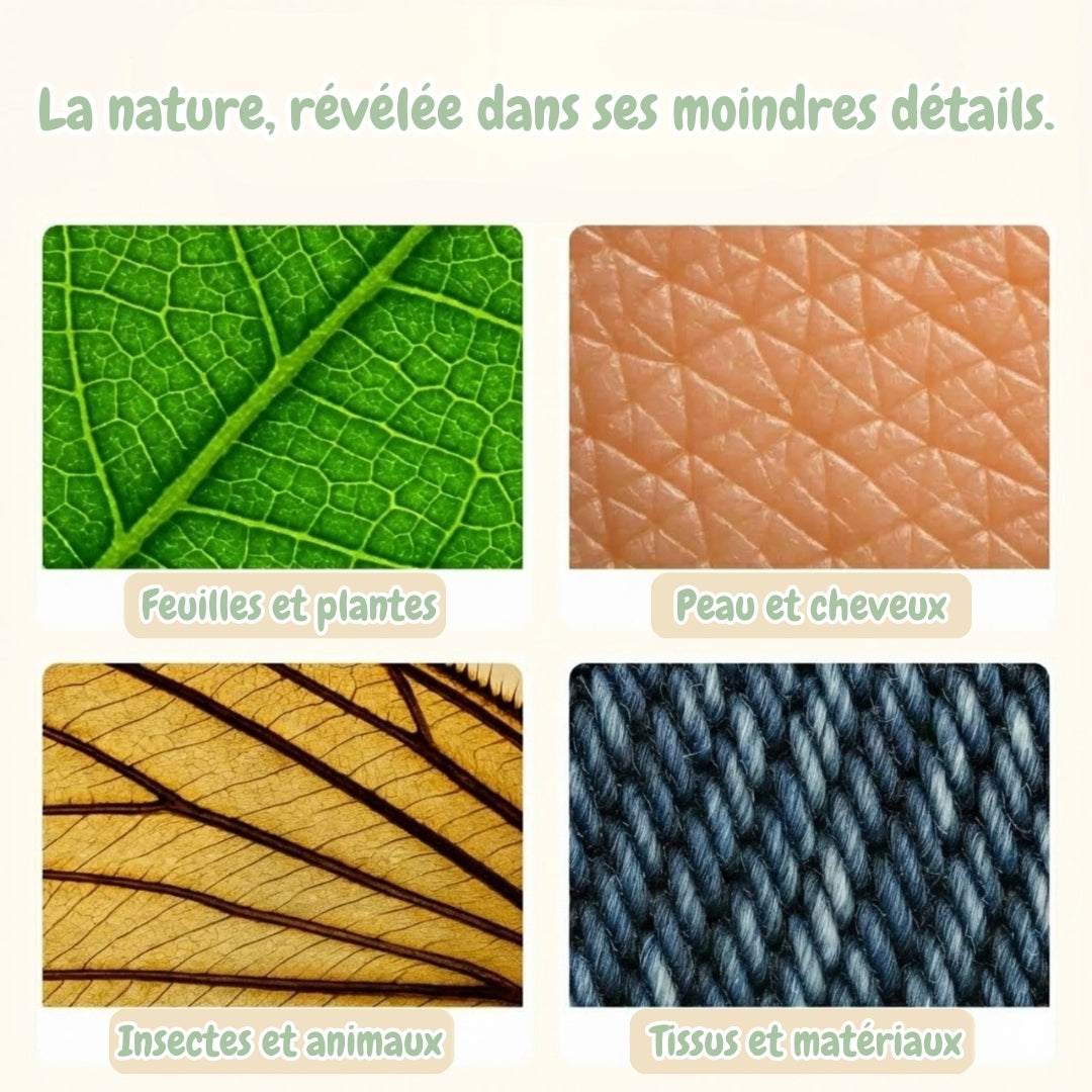 Le Curioscope Numérique