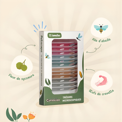 Lamelles d'Exploration